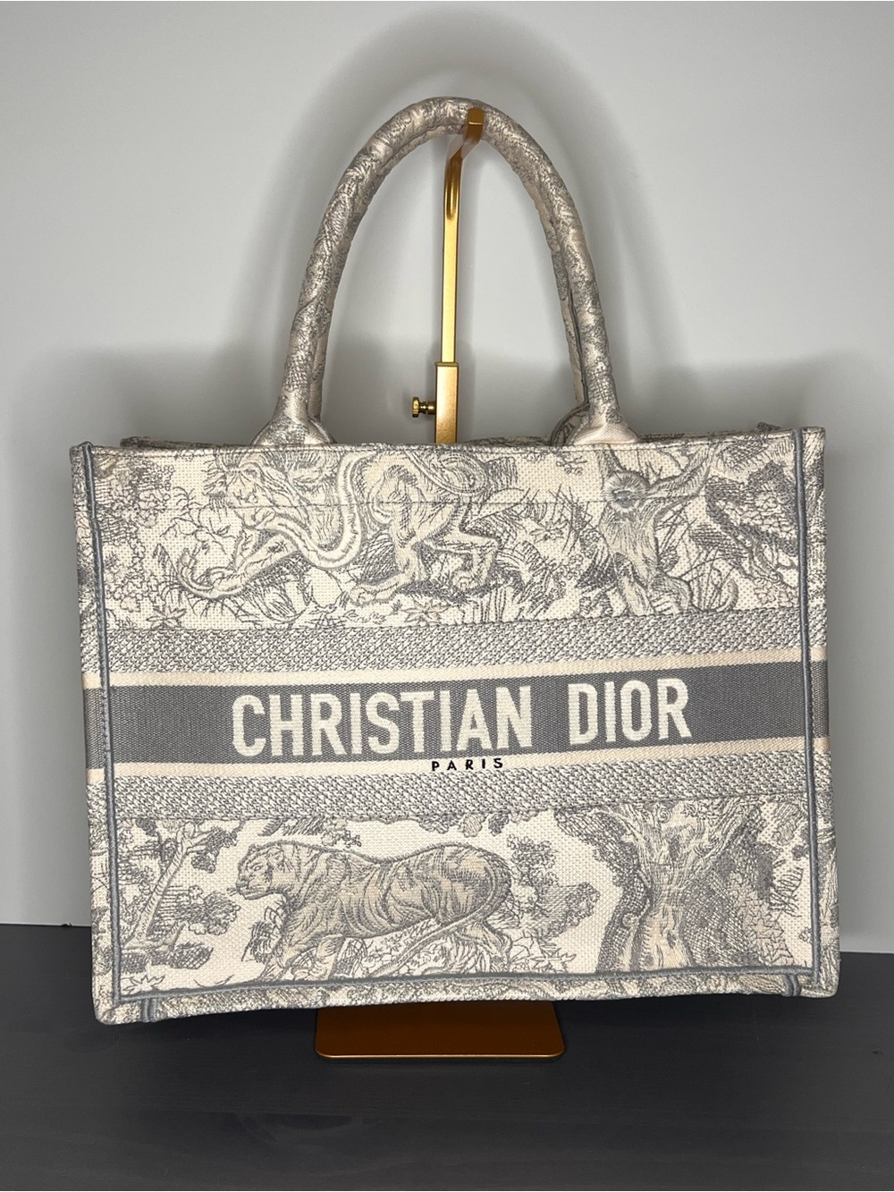 Dior Book Tote in Medium